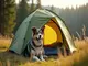 ultraleicht-zelt-mit-hund-worauf-du-achten-solltest
